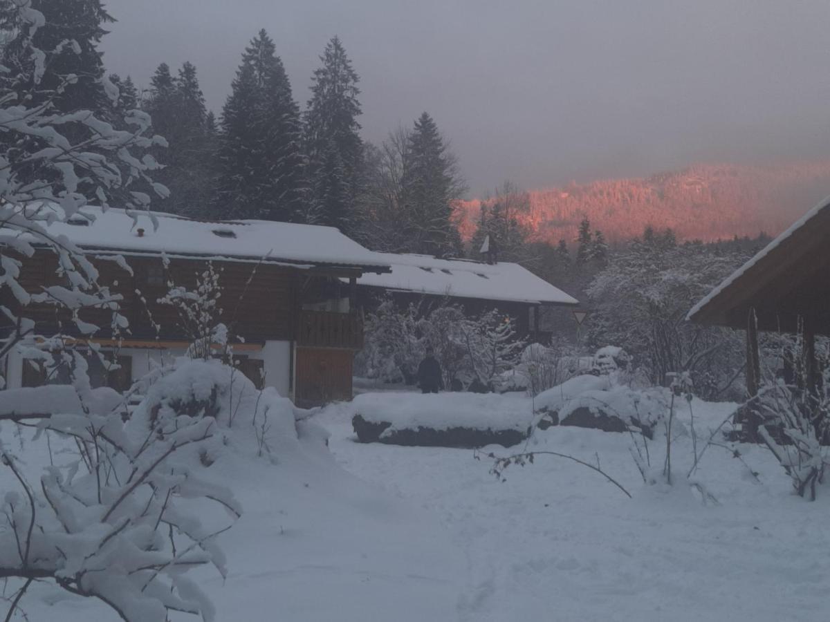 Huettenzauber Ferienwohnung Mitten Im Nationalpark Lindberg Kültér fotó