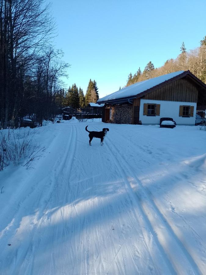 Huettenzauber Ferienwohnung Mitten Im Nationalpark Lindberg Kültér fotó