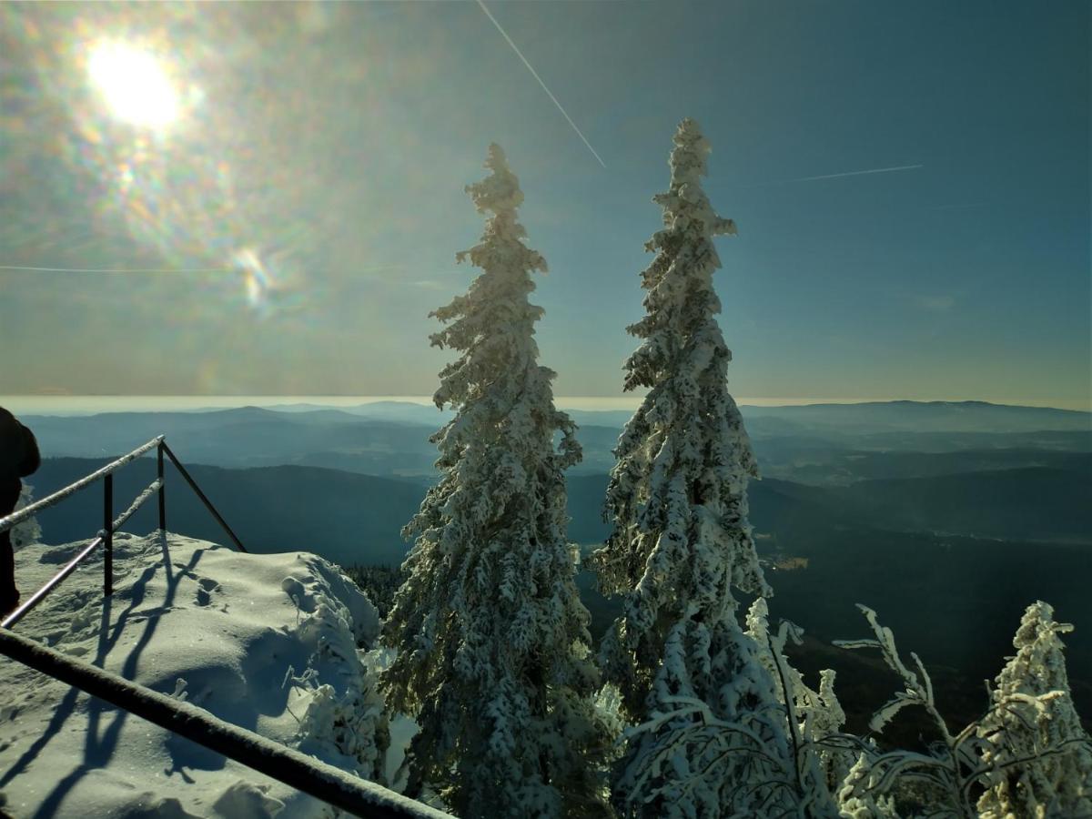 Huettenzauber Ferienwohnung Mitten Im Nationalpark Lindberg Kültér fotó