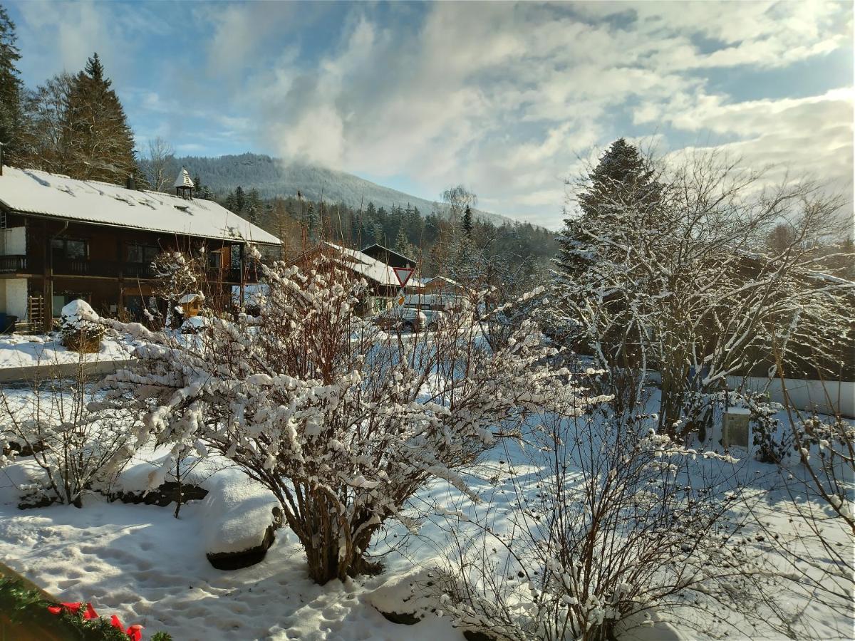 Huettenzauber Ferienwohnung Mitten Im Nationalpark Lindberg Kültér fotó